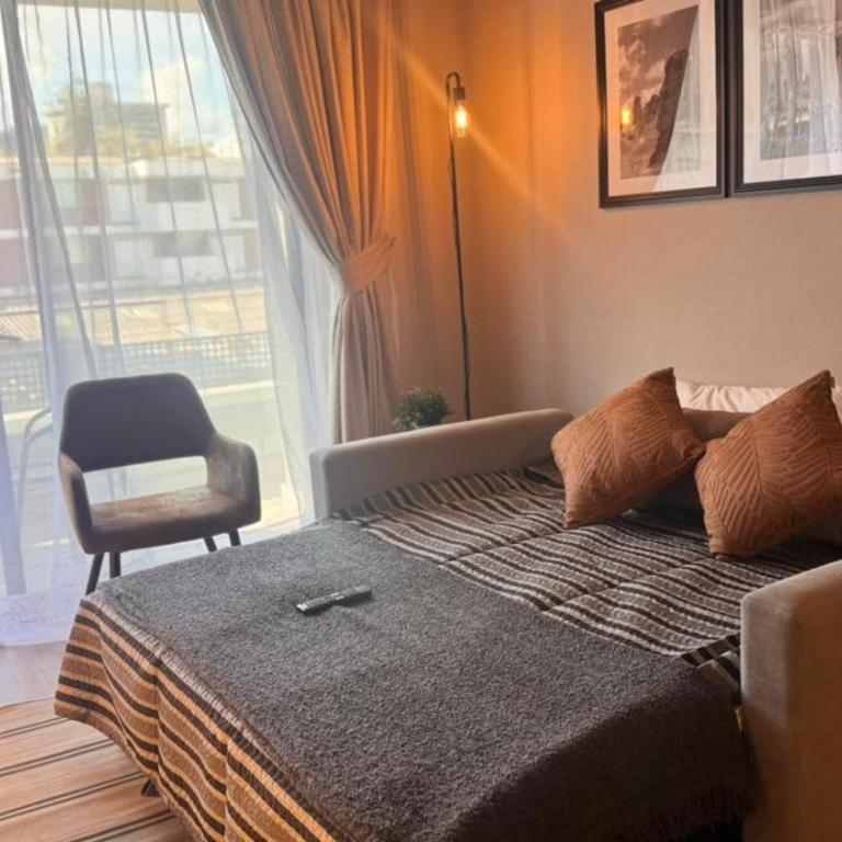 HOM I 1D1B Metro Santa Isabel Sector Providencia - Apartment - 46