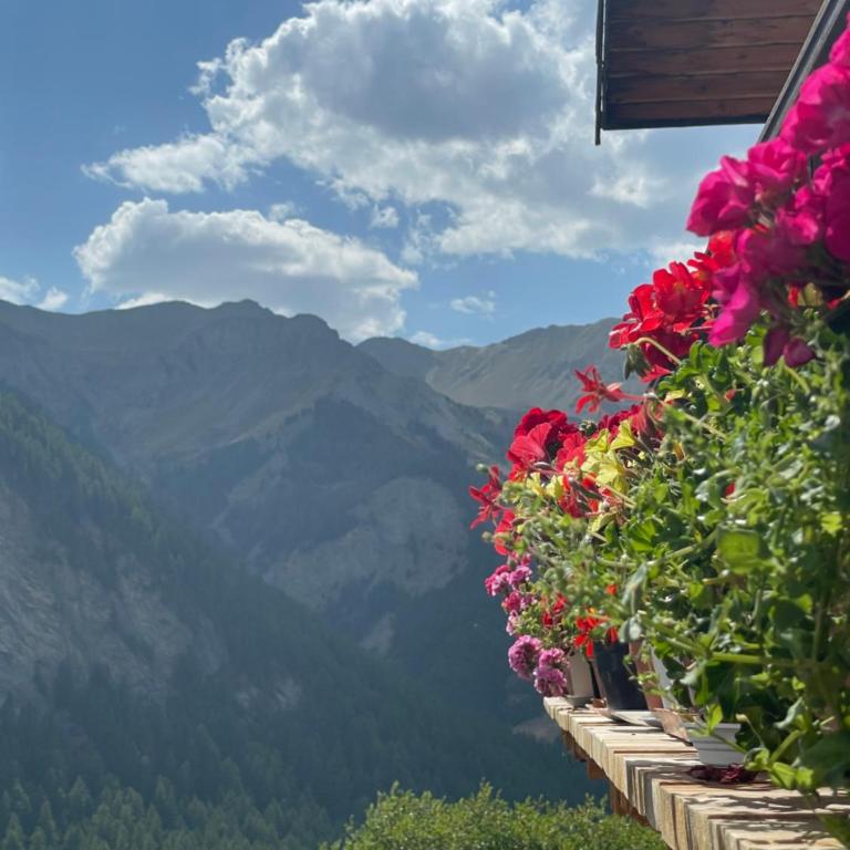 Le Chalet d'Elisabeth - Appartement - 22