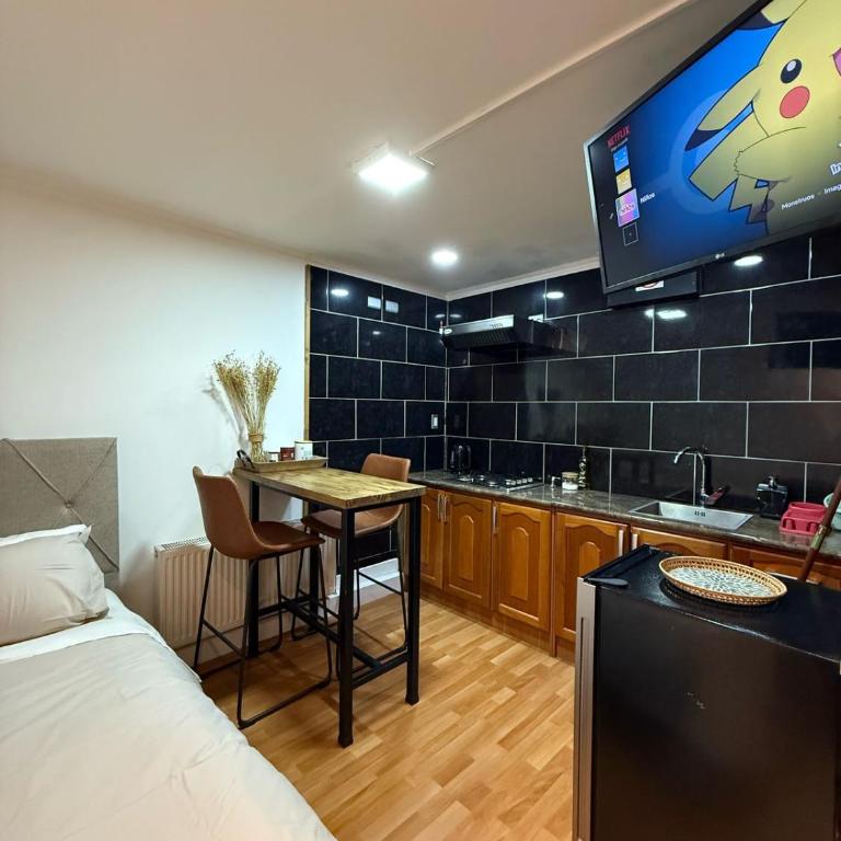 Punta Arenas loft - Apartamento de 1 dormitorio - 3