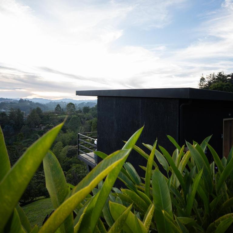 Roots Eco House - Suite con vistas a la montaña - 8
