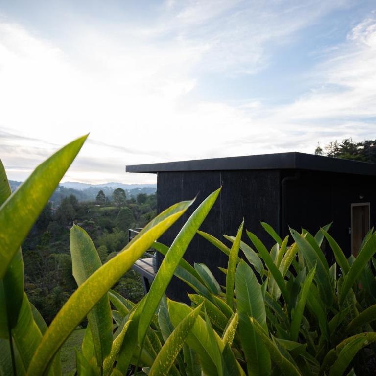 Roots Eco House - Suite con vistas a la montaña - 58