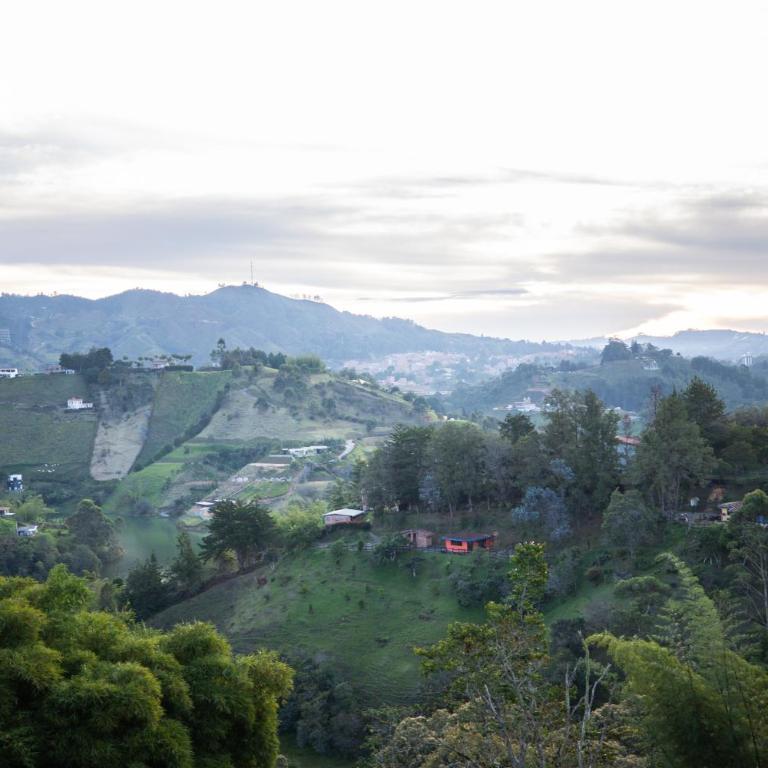 Roots Eco House - Suite con vistas a la montaña - 27