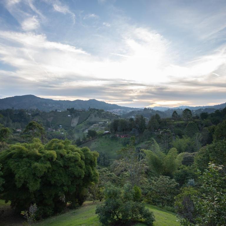 Roots Eco House - Suite con vistas a la montaña - 51