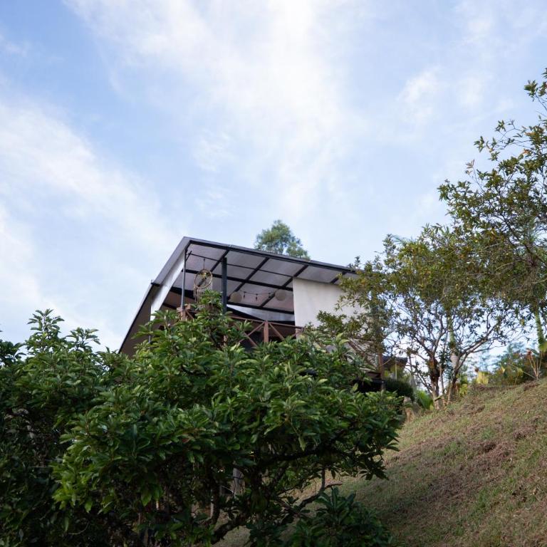 Roots Eco House - Suite con vistas a la montaña - 56