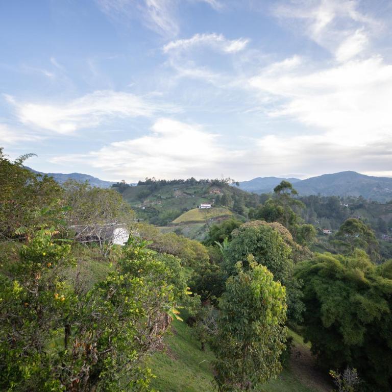 Roots Eco House - Suite con vistas a la montaña - 55