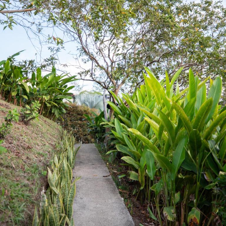 Roots Eco House - Suite con vistas a la montaña - 57