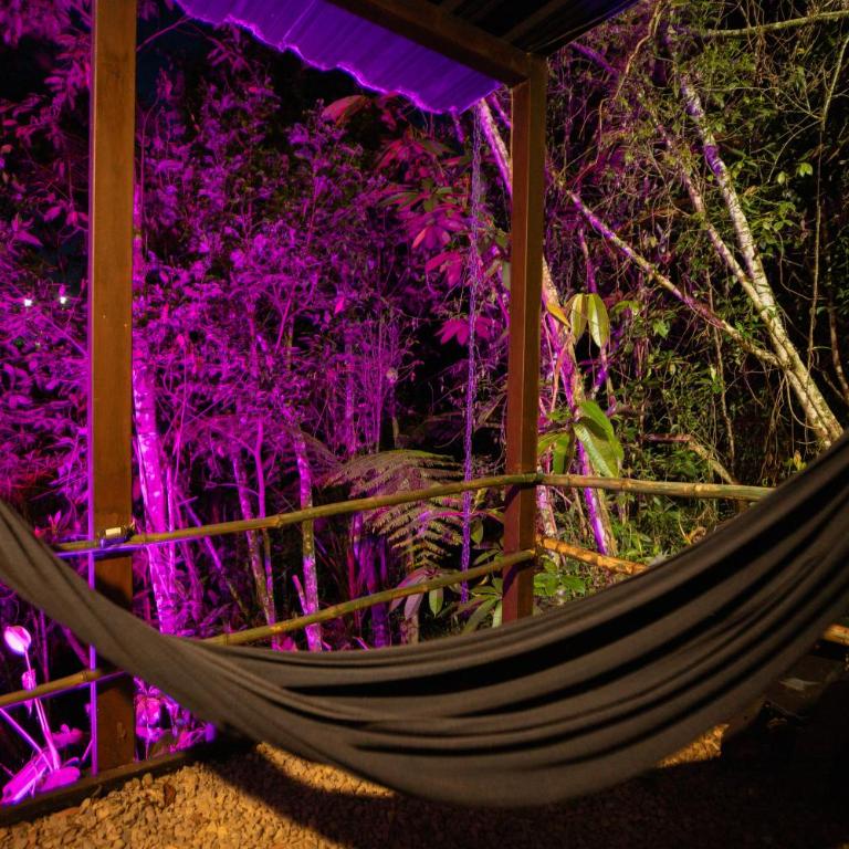 Roots Eco House - Suite con vistas al jardín - 5