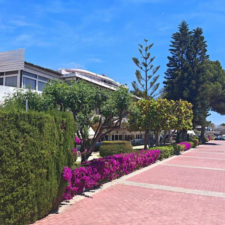 Apartment ELI Santa Pola - Apartamento de 2 dormitorios - 19