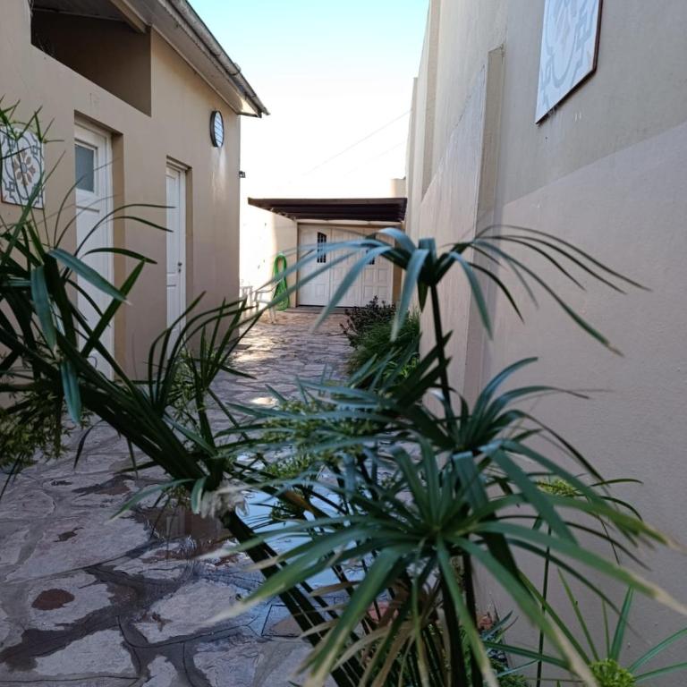 Casa céntrica Olavarría - Casa de 2 dormitorios - 9