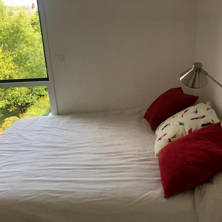 New and spacious appartment 1 room St Mihiel - Appartement 1 Chambre - 4