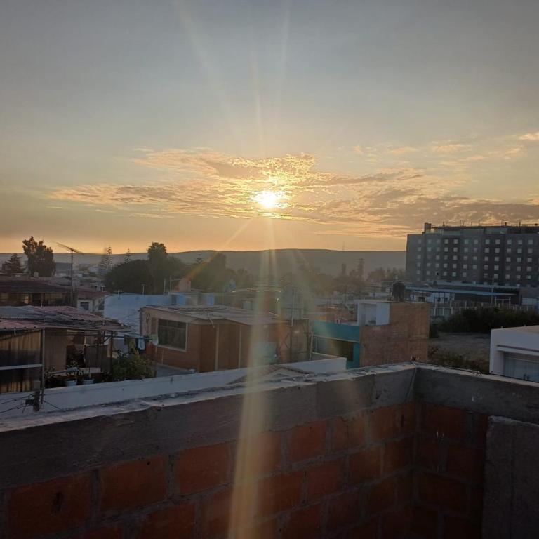 Las Palmas Apart - Three-Bedroom Standard Apartment - 16