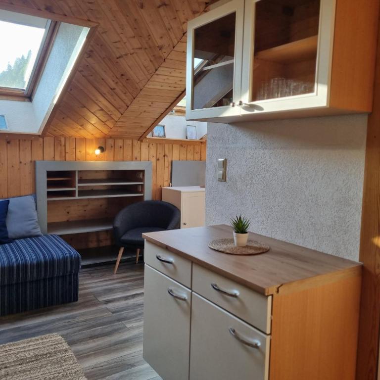 SkyView Apartments Bad Kleinkirchheim - Kärnten Card Included Summer - Studio-Apartment - 2