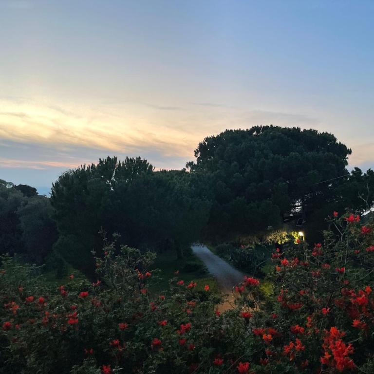 Antica Torre vista mare Capo Milazzo - Two-Bedroom Villa - 20