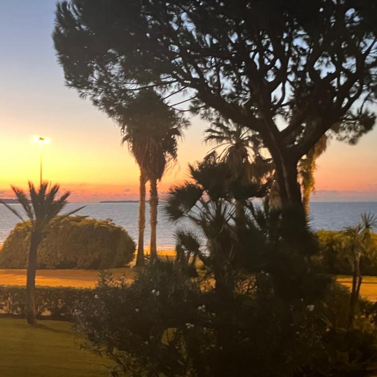 Cannes Terrace Beach Front & Sea view - Apartment mit Terrasse - 43