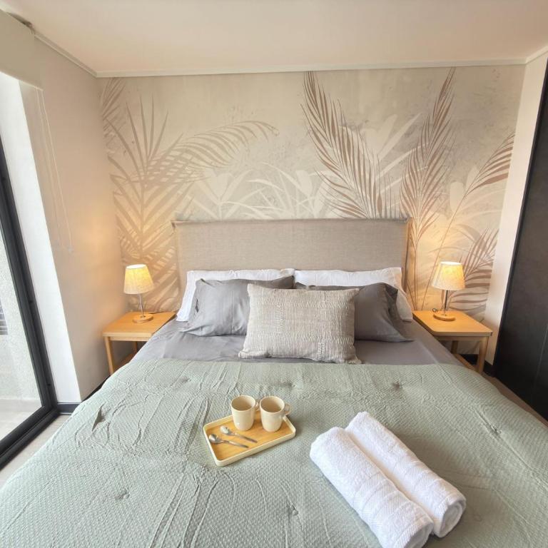 HOM I Metro Irarrázaval I Cercano Barrio Italia - Apartment - 19
