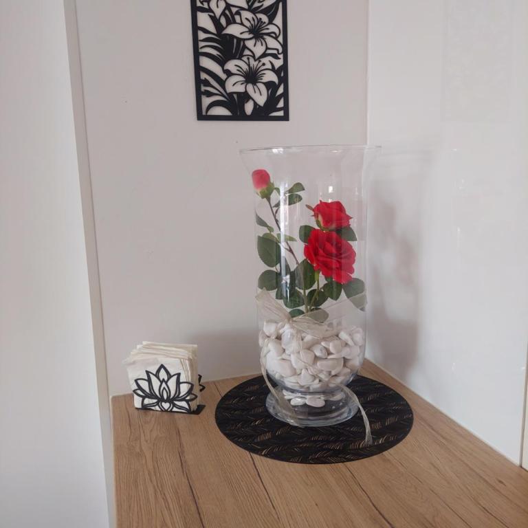 Apartman TRI KRALJA 1 - Apartman sa 1 Spavaćom Sobom - 6