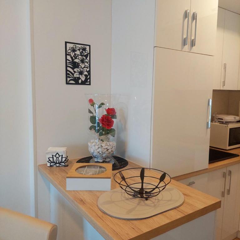 Apartman TRI KRALJA 1 - Apartman sa 1 Spavaćom Sobom - 5