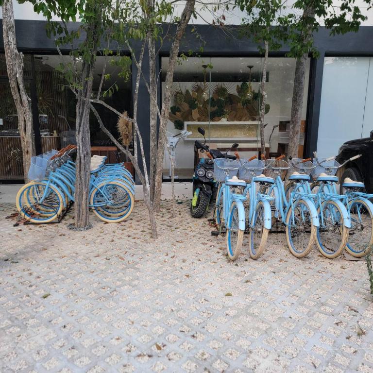 Tropical retreat: Scooters, Hot Tub, Pool, Projector - Apartment - 63