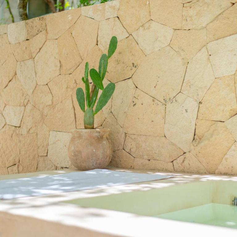 Tropical retreat: Scooters, Hot Tub, Pool, Projector - Apartment - 65