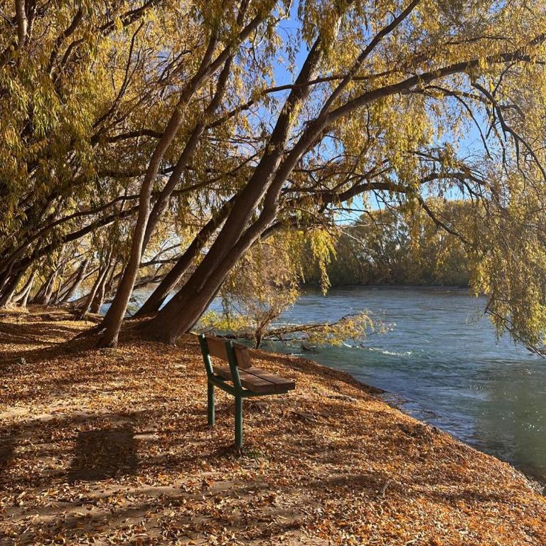 Apartment in the most beautiful neighborhood of Neuquén - Apartamento de 1 dormitorio - 3