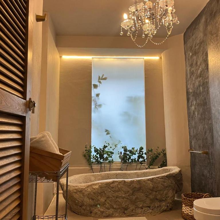 Hostel la Antigua Capsula - Deluxe Double or Twin Room - 2