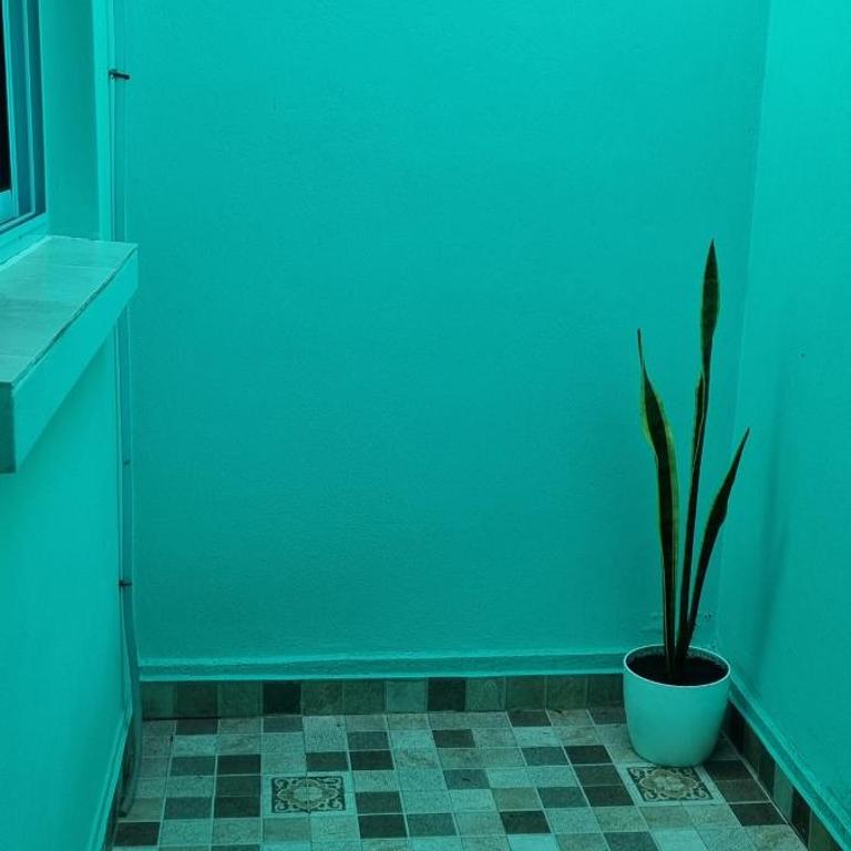 La Perla - Apartamento de 1 dormitorio - 2