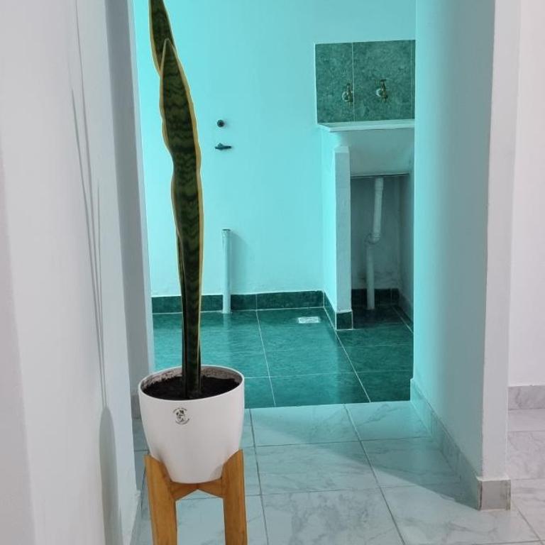 La Perla - Apartamento de 1 dormitorio - 3