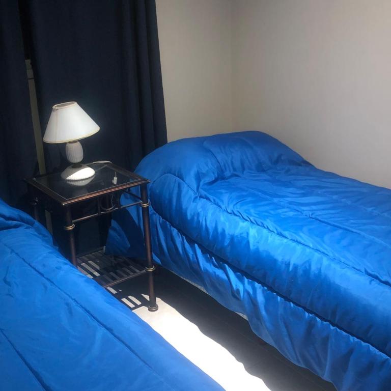 Ideal Alojamiento - Apartamento de 2 dormitorios con vistas al jardín - 7