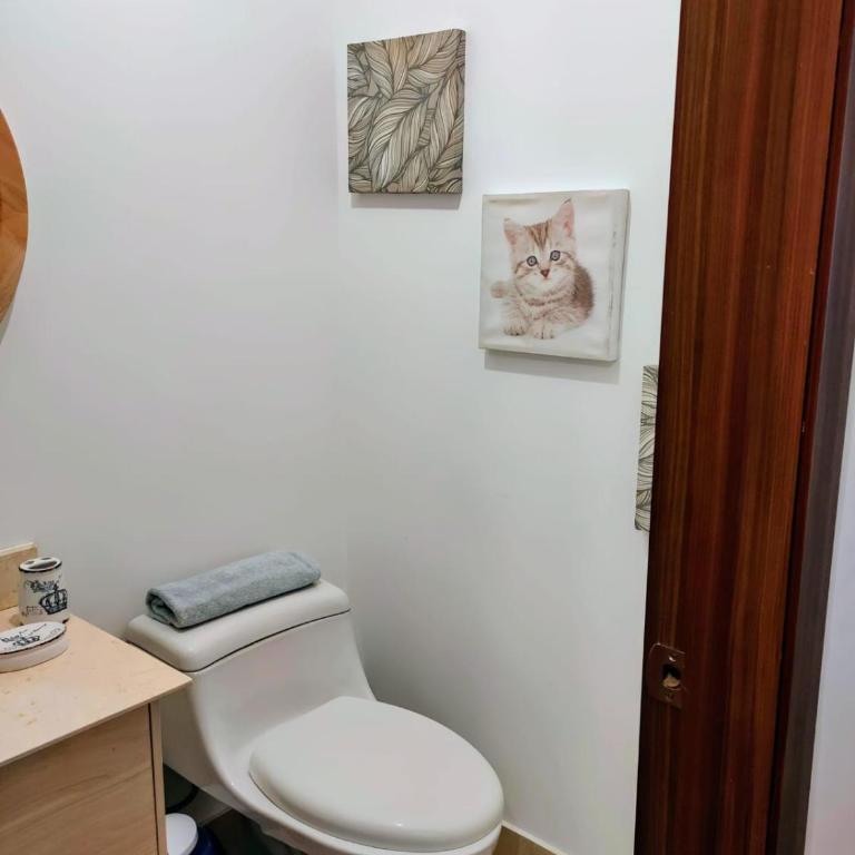 Suite minimalista con vista a los volcanes - One-Bedroom Apartment - 6