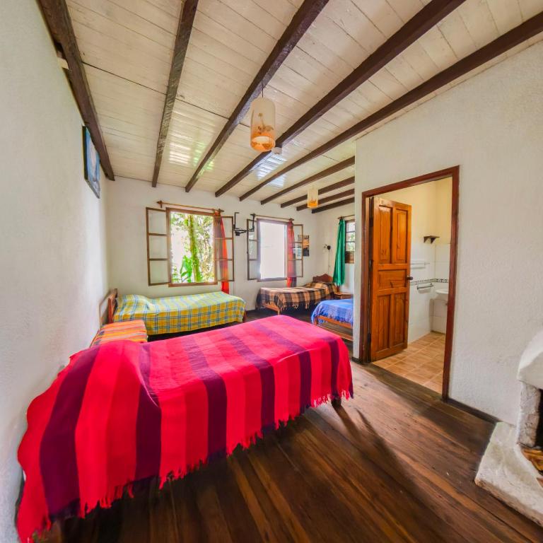 Le Petit Jardin - Bed in 4-Bed Mixed Dormitory Room - 3