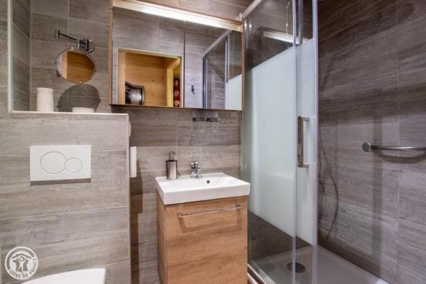 Aubier Confort Spa Chalet Domaine du Fraizier - Chalet 3 Chambres - 41