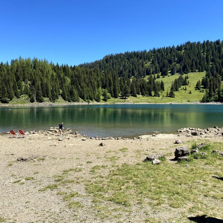 Chalet Julie in Villars-sur-Ollon - Chalet - 60