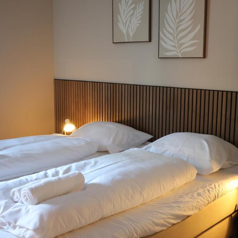 Alpen Experience Apart Hotel - Superior Apartment mit 1 Schlafzimmer und Balkon - 3