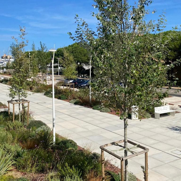 Beau T2 climatisé pour 4 pers., terrasse et parking à Port Leucate - FR-1-727-29 - Apartment - 8