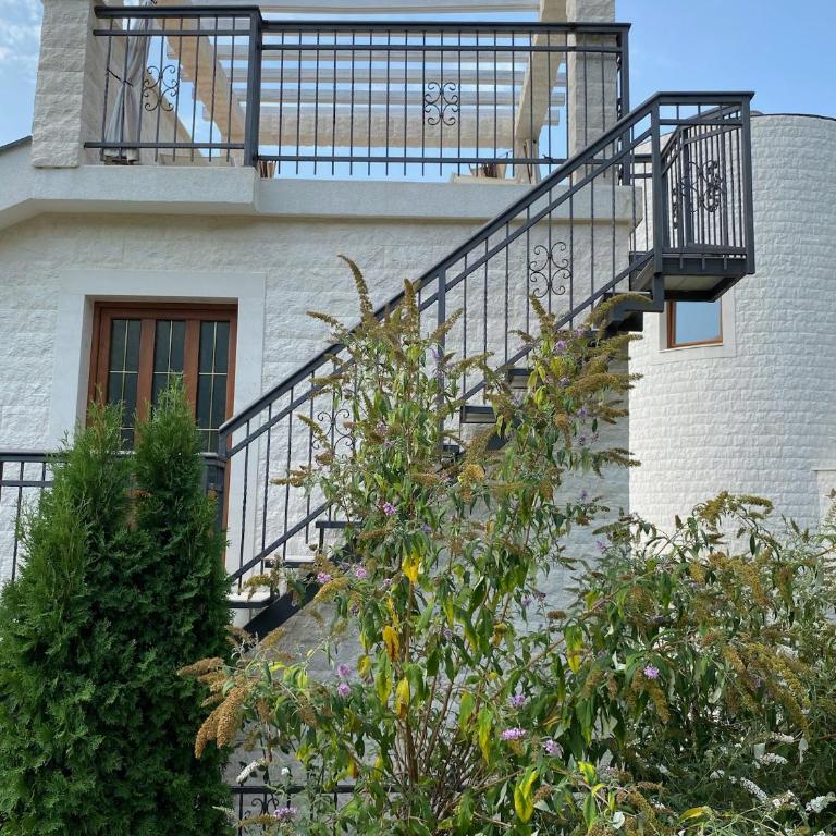 Villa Herceg Novi - Sunny Hill - Villa with Sea View - 43