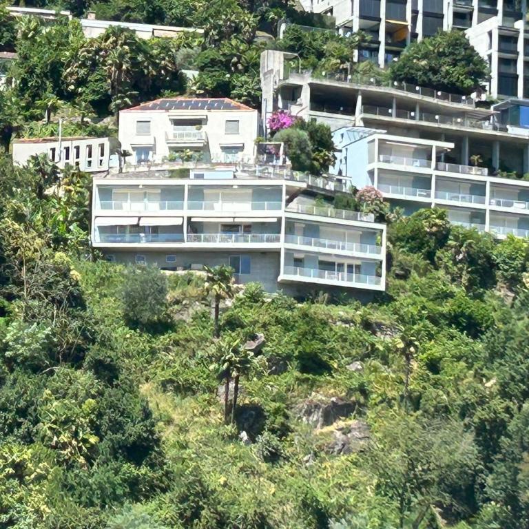 Paradiso - Appartamento con 1 Camera da Letto - 2