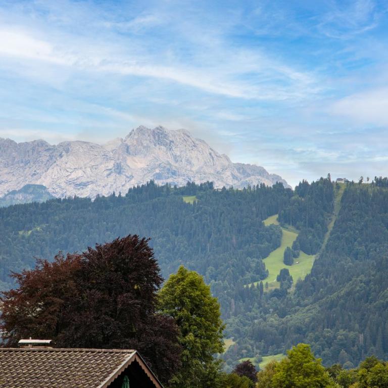 Kramer Lodge - Appartamento con Vista Montagna - 42