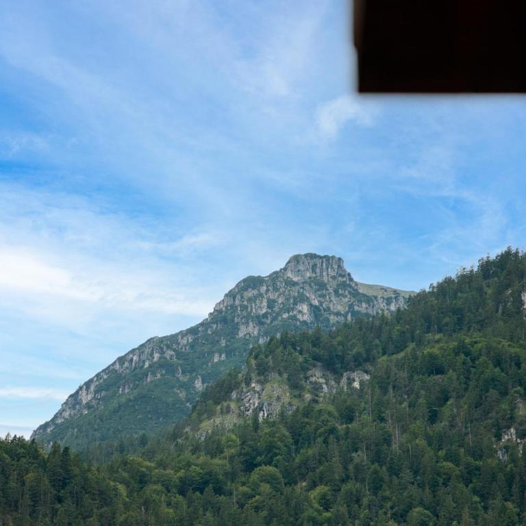 Kramer Lodge - Appartamento con Vista Montagna - 44