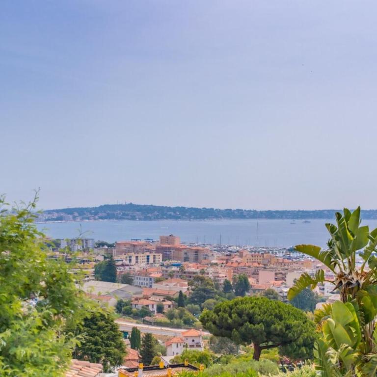 Stunning villa with sea view in Vallauris - Villa - 7