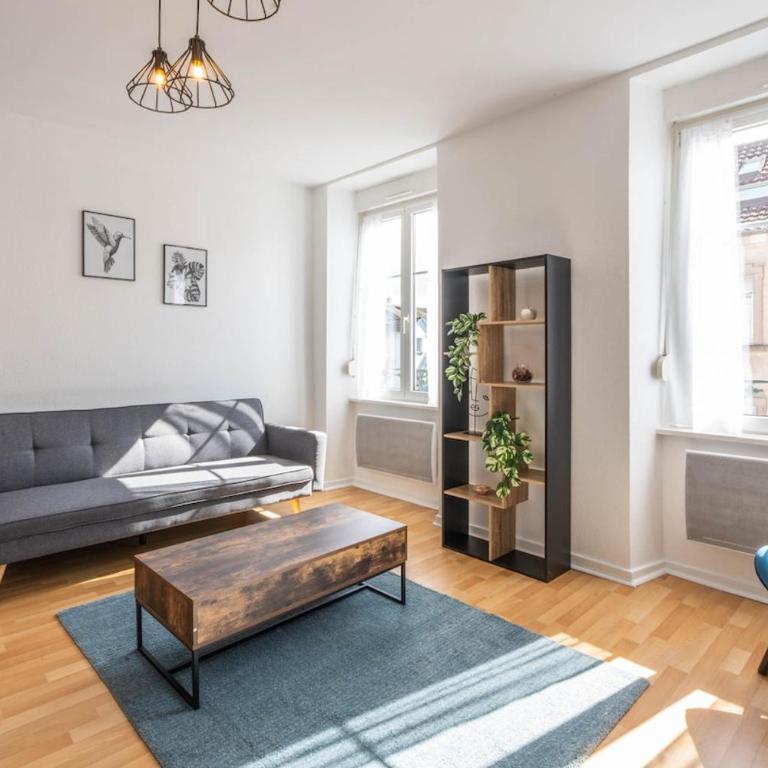 Le Bantz 3 Appartement Mulhouse Wi-Fi - Appartamento con 2 Camere da Letto - 7