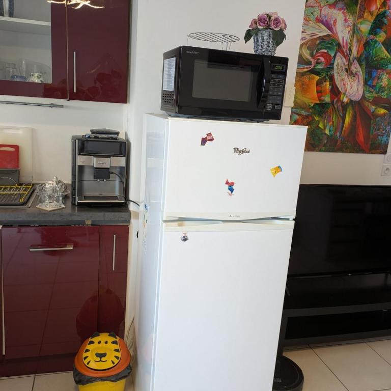 Beautiful flat around Geneva & its airport Palexpo - Appartement 1 Chambre - 6