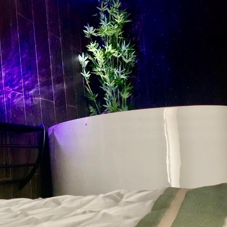 L Emeraude des marais loveroom Bourges - Appartement 1 Chambre - 8
