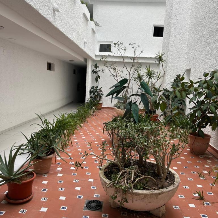 Luxury Studio in the Heart of Moraira - One-Bedroom Apartment - 20