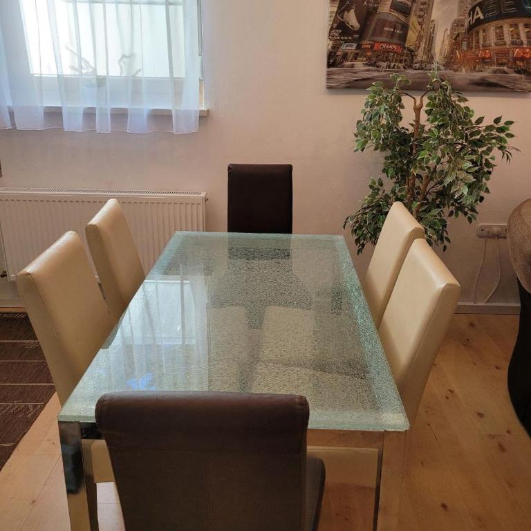 Ferienwohnung Hahn Graz (souterrain) - Appartement - 5