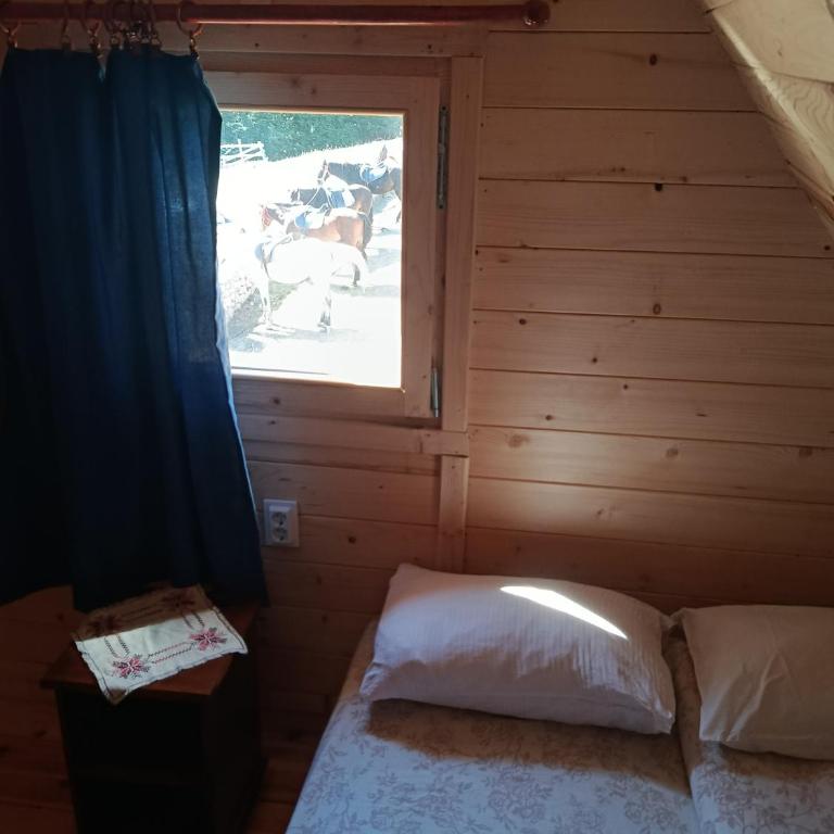 Katun Mountain home - Two-Bedroom Chalet - 17