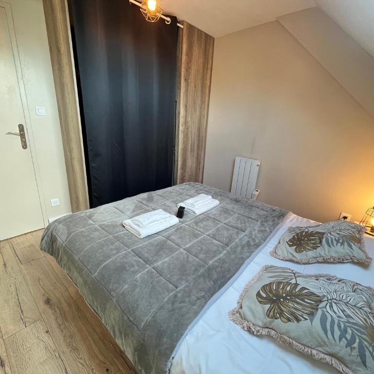 Danton confortable chaleureux proche centre-ville - Appartement 1 Chambre - 3