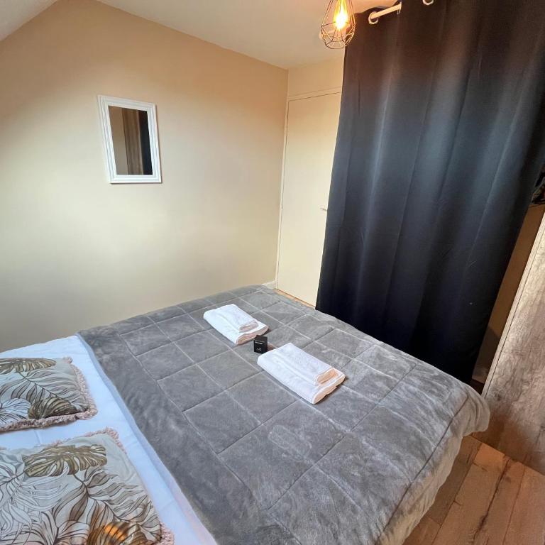 Danton confortable chaleureux proche centre-ville - Appartement 1 Chambre - 2