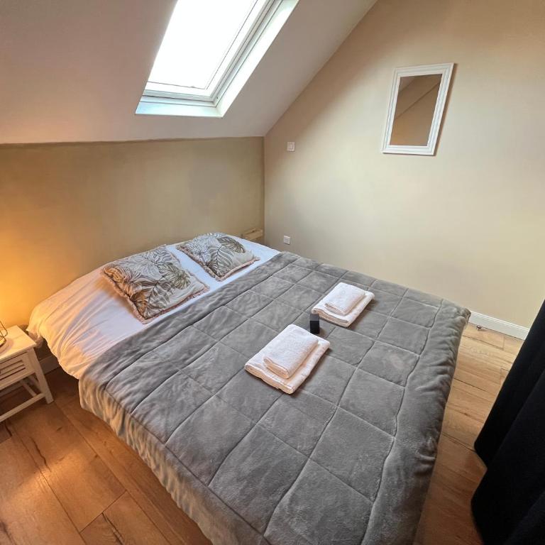 Danton confortable chaleureux proche centre-ville - Appartement 1 Chambre - 20