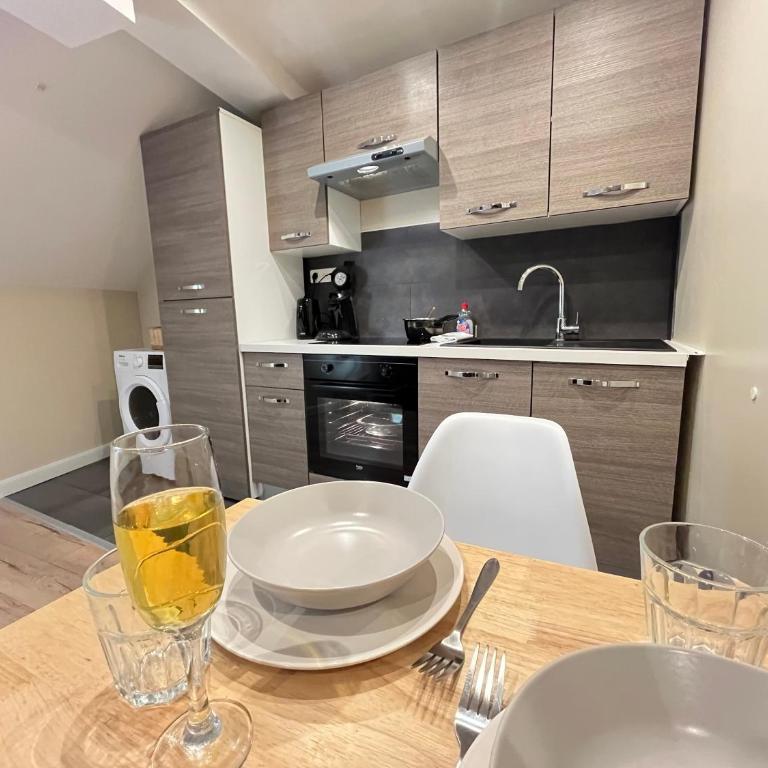Danton confortable chaleureux proche centre-ville - Appartement 1 Chambre - 24