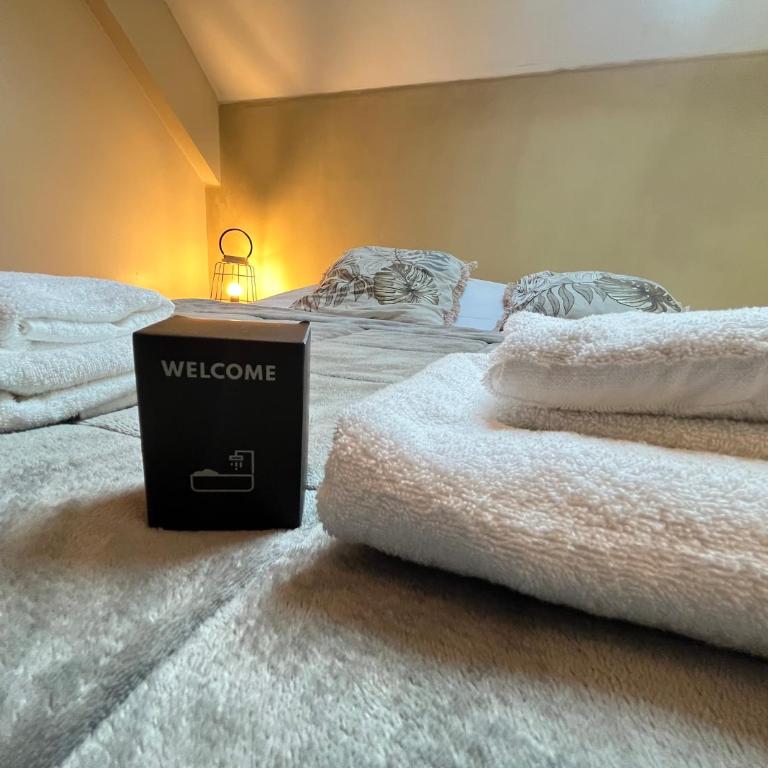 Danton confortable chaleureux proche centre-ville - Appartement 1 Chambre - 26